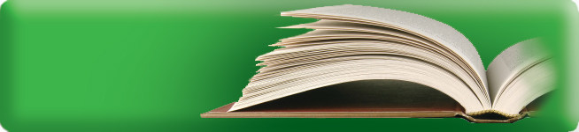local-seo-book local-seo-book