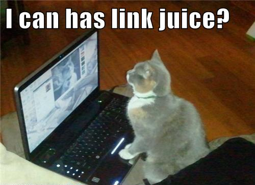 i-can-have-link-juice-cat