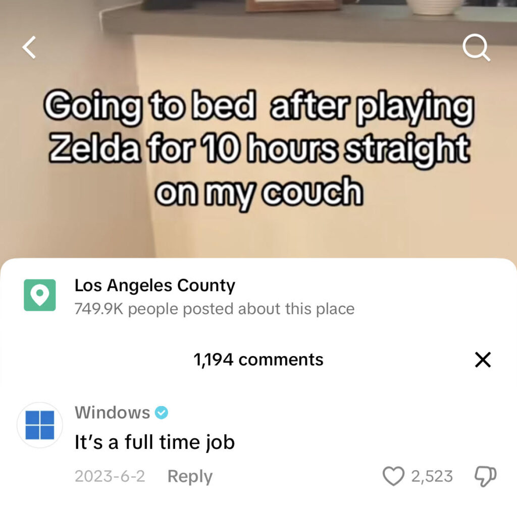 Screenshot of Windows comment that reads "it's a full time job" on a user's video.