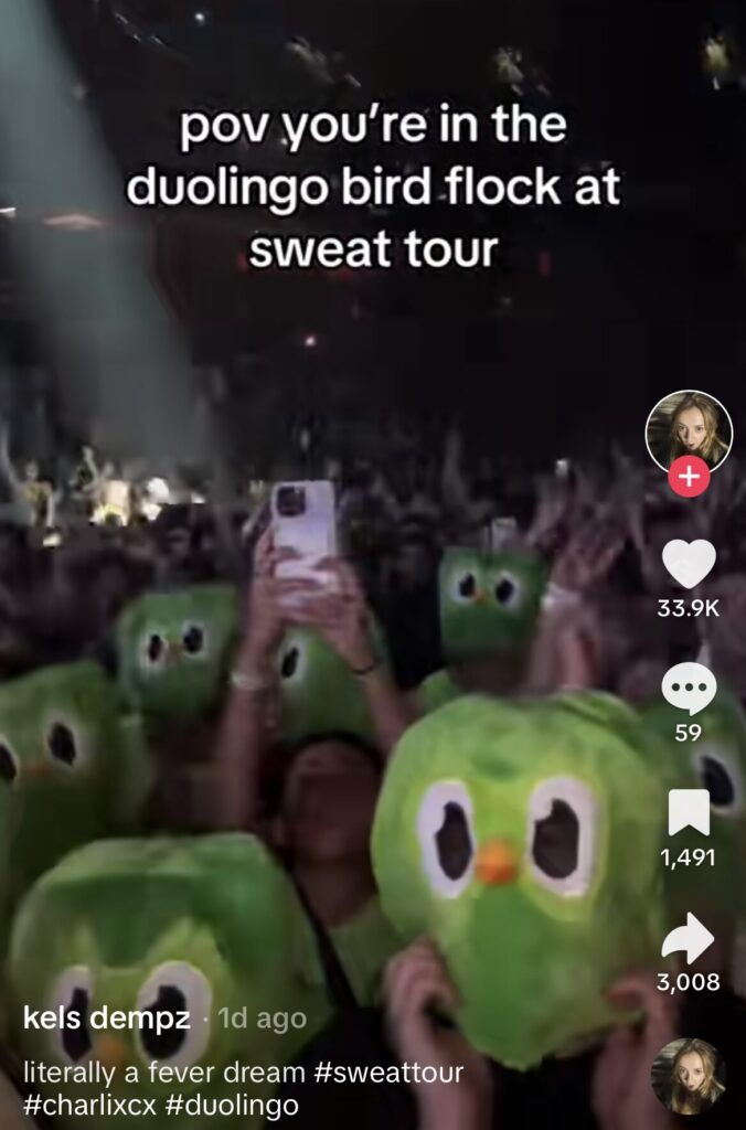 Screenshot of Duo Lingo staff member's TikTok video about the concert