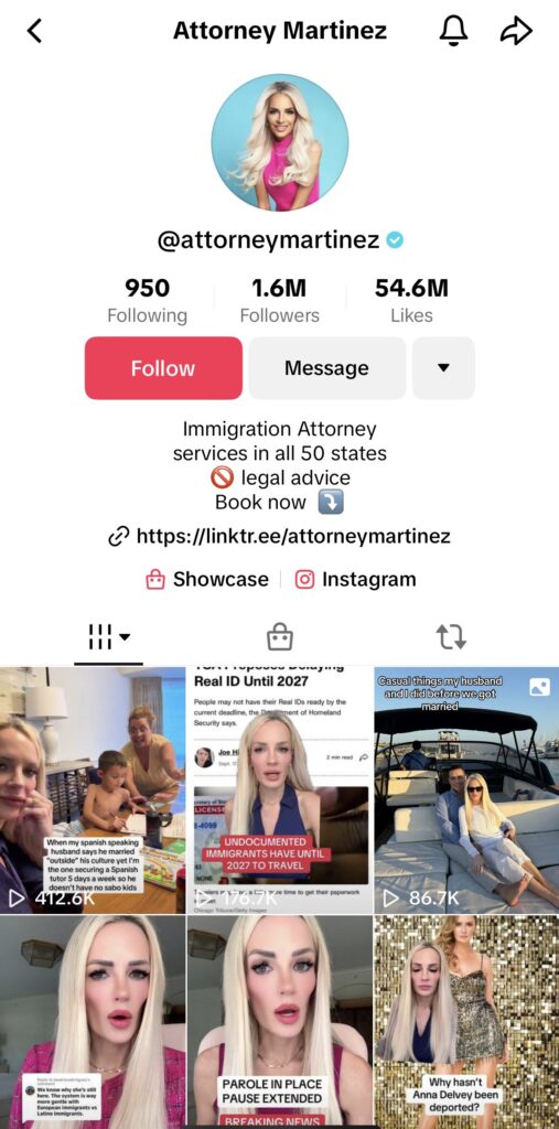 Screenshot of Attorney Martinez's TikTok profile