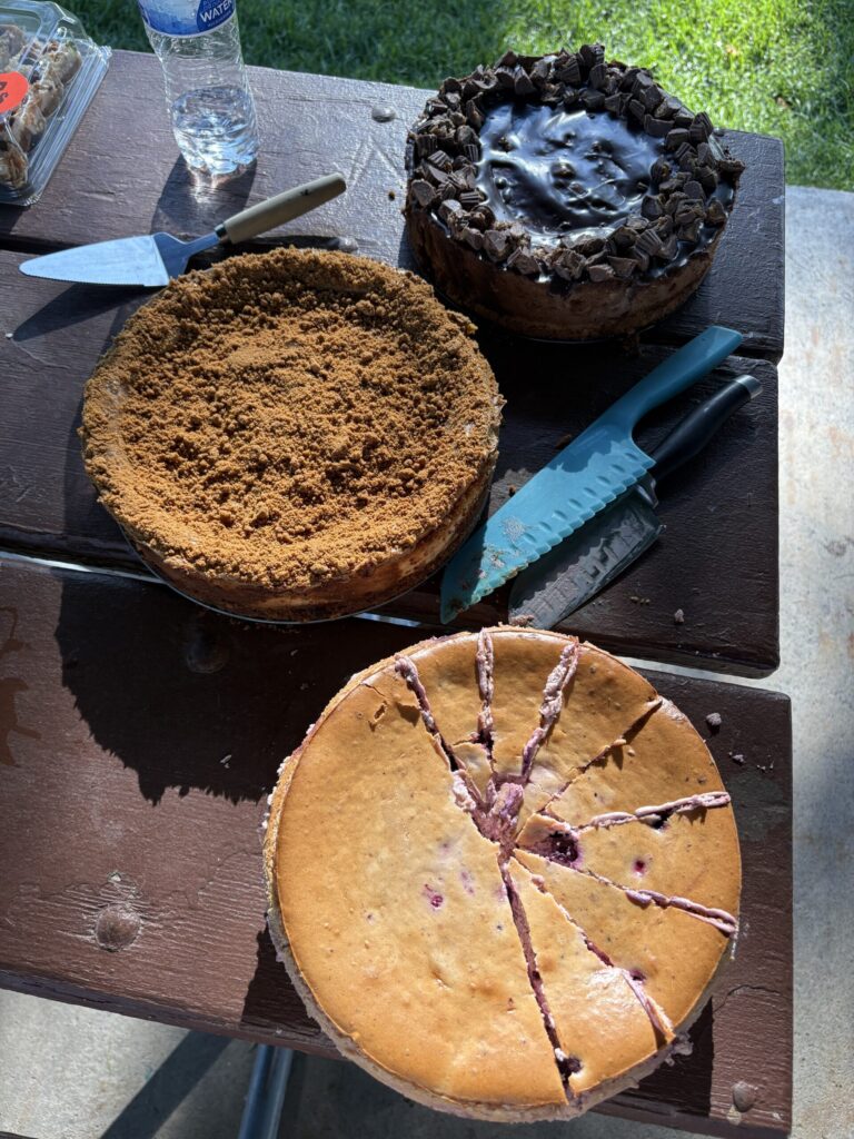 Gabe's variety of homemade cheesecakes